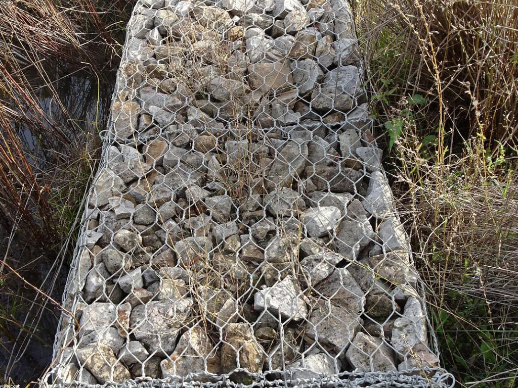 ស្លុតពេញនិយម: ការវិវត្តន៍ និងអត្ថប្រយោជន៍