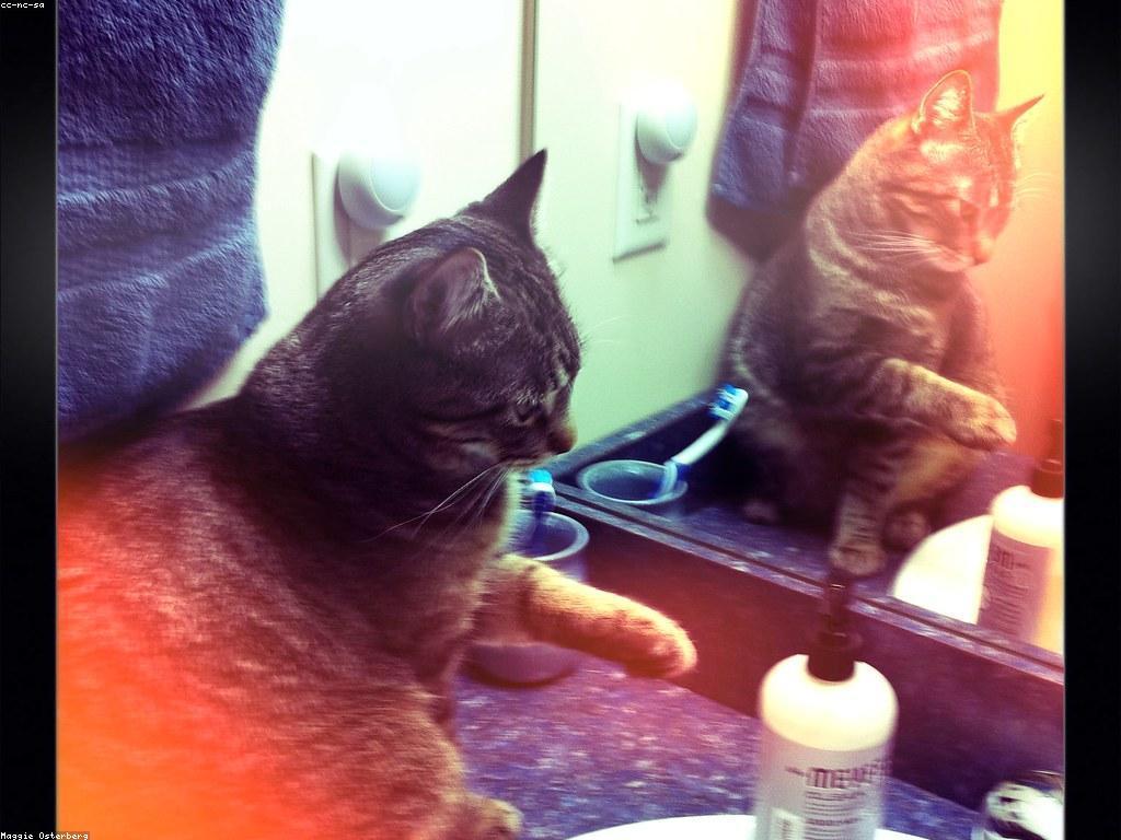 គន្លឹះក្នុងការគ្រប់គ្រងអារម្មណ៍